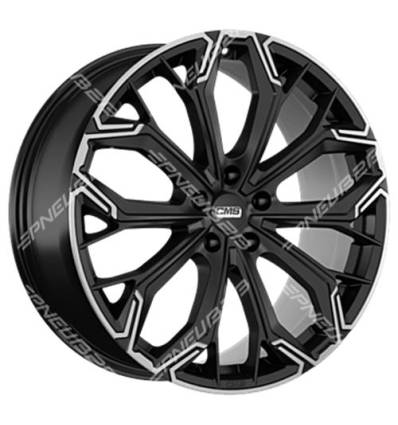 CMS 