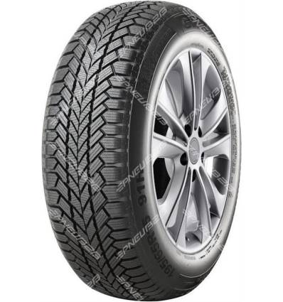 Giti WINTER W1